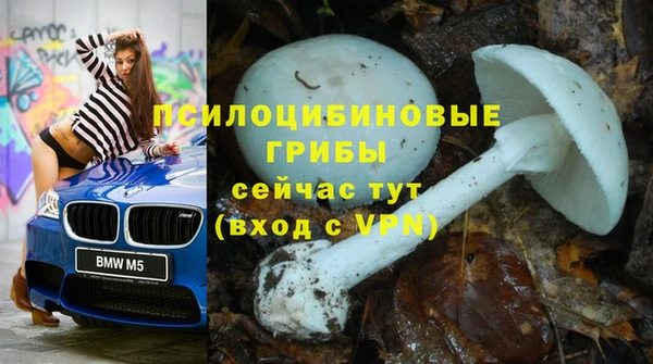 МДПВ Алзамай