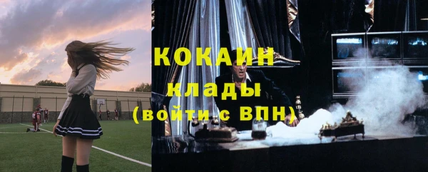 МДПВ Алзамай