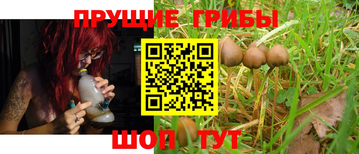Уссурийск  Псилоцибиновые грибы Magic Shrooms  Вход с VPN  Галлюциногенные грибы GOLDEN TEACHER 