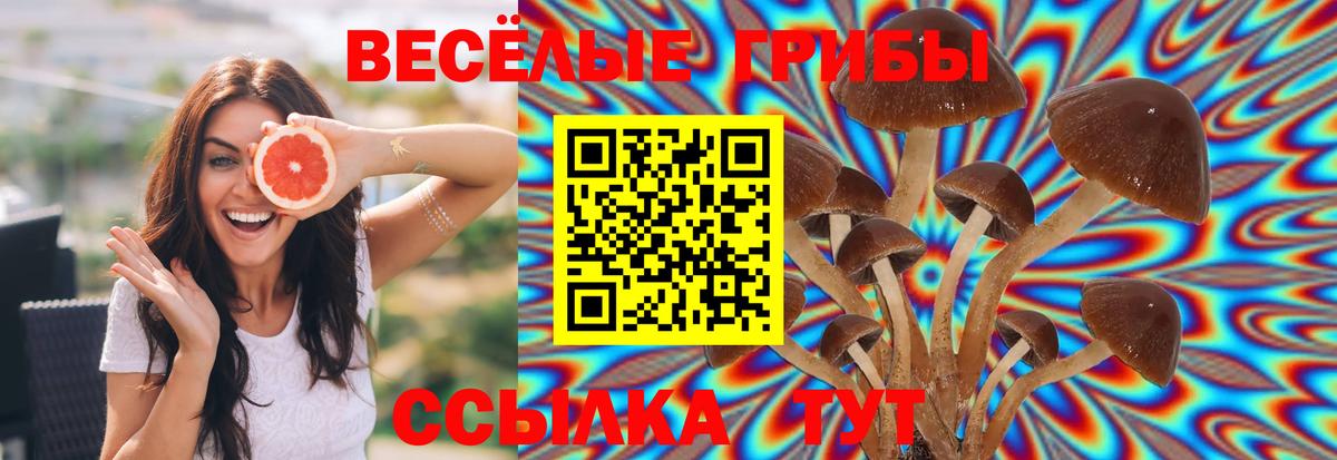 Галлюциногенные грибы мухоморы Уссурийск